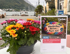 Blumen und kleines Plakat