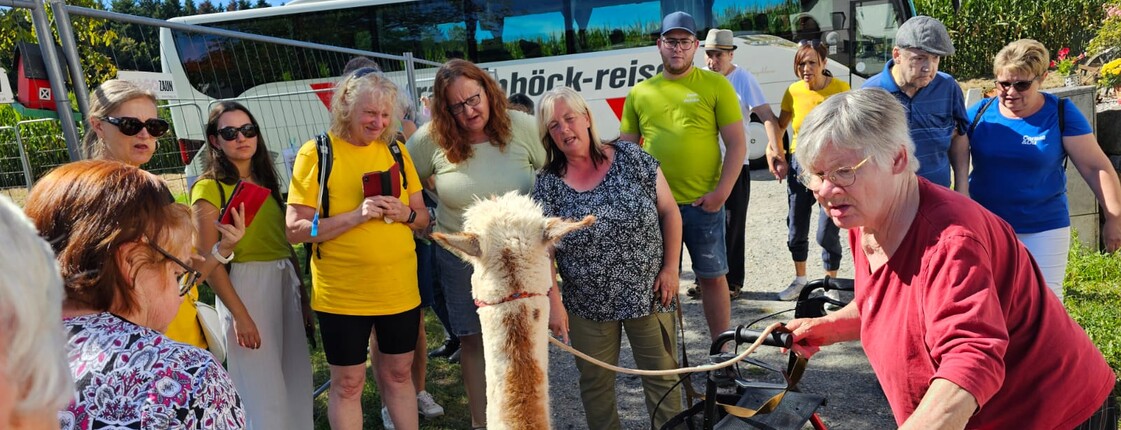 Inivita Bewohner*innen besuchten Alpakas