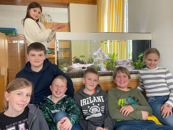 Kinder sitzen auf einer Couch im Hintergrund sieht man das Aquarium