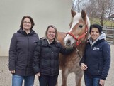 Drei Frauen und ein Pferd