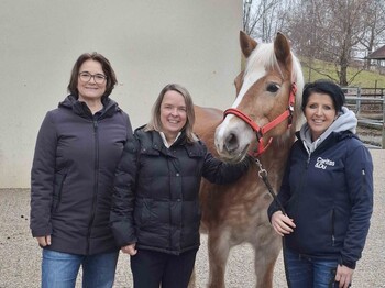 Drei Frauen und ein Pferd
