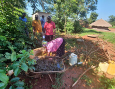 Eine Frau mischt in einer Schubkarre Kuhdung vor einem Gemüsefeld zusammen für die Biogasanlagen.