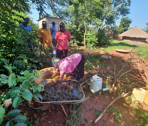 Eine Frau mischt in einer Schubkarre Kuhdung vor einem Gemüsefeld zusammen für die Biogasanlagen.