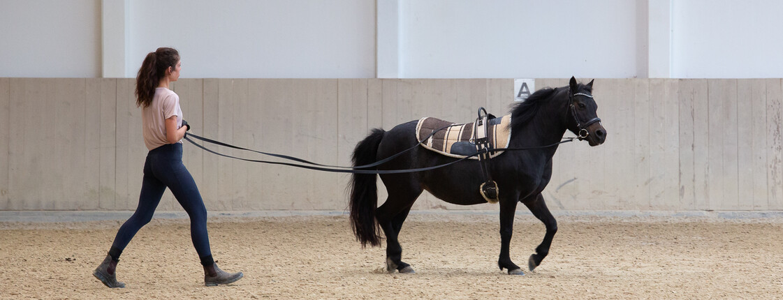 Eine Frau führt ein Pferd im Reitstall.