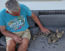 Mann und Katze auf Couch 