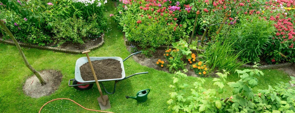 Grüner Garten mit Blumenbeeten