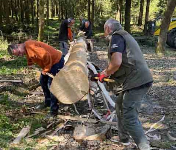 Zwei Männer schälen den Maibaum