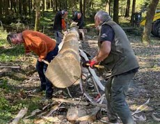 Zwei Männer schälen den Maibaum