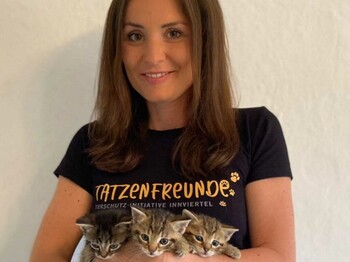 Um über 100 Tierabnahmen kümmert sich Franziska Greils Verein „Tatzenfreunde“ jährlich - und das ehrenamtlich. Dazu kommen an die 300 Fundtiere.
