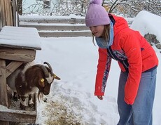 Mädchen im Streichelzoo