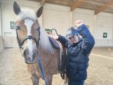 Junger Mann mit Pferd