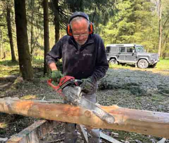 Mann sägt einen Baum