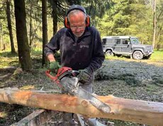 Mann sägt einen Baum