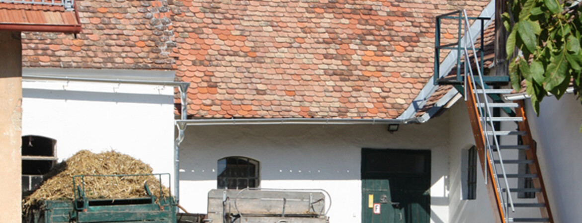 Bauernhof Unternalb