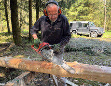 Mann mit der Motorsäge und einem Baum